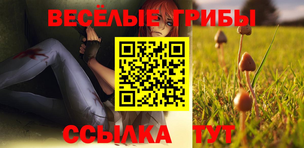 Северск  Галлюциногенные грибы Cubensis  Вход с VPN 