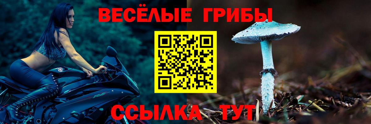 Галлюциногенные грибы MAGIC MUSHROOMS Северск